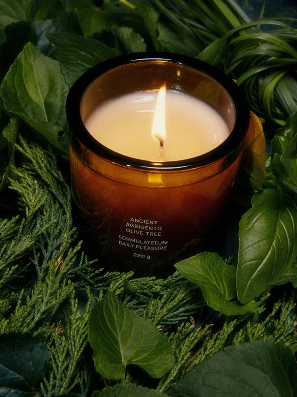 Olive Tree Scented Candle